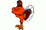 Virginia Tech Gobblers