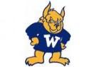 Webster University Gorloks