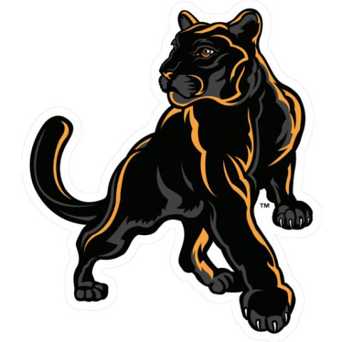 Adelphi University Panthers