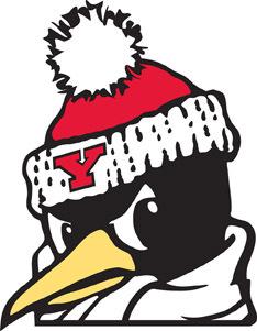 Youngstown State University Penguins