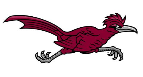 Ramapo College Roadrunners