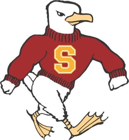 Salisbury University Sea Gulls