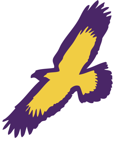 Elmira College Soaring Eagles