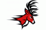 Fairfield University Stags