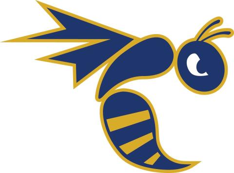 Emory & Henry College Wasps