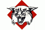 Davidson College Wildcats