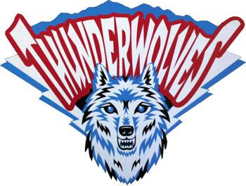 University of Southern Colorado Thunderwolves