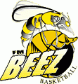 Fargo-Moorhead Beez