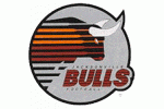 Jacksonville Bulls