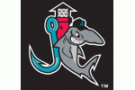 Jupiter Hammerheads