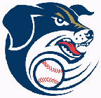 Lincoln Saltdogs