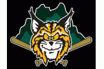 Lynchburg Hillcats