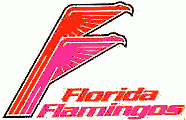 Florida Flamingos