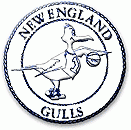 New England Gulls