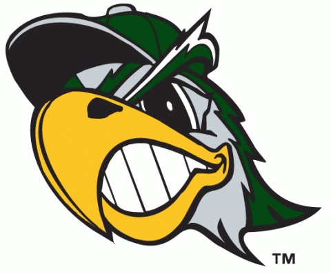 South Bend Silver Hawks