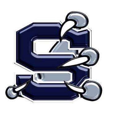 Skyview Hawks