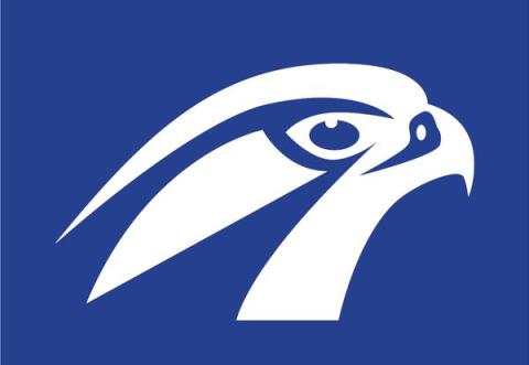 Albany Falcons