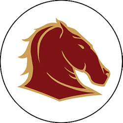 Alvirne Broncos