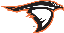 Anderson University Ravens