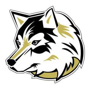 Andover Huskies