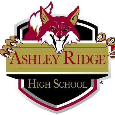 Ashley Ridge Swamp Foxes