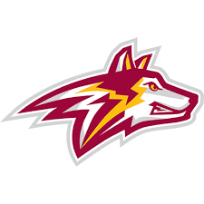 Alvernia University Golden Wolves