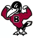 Bard Falcons