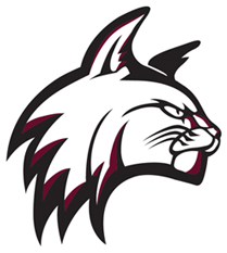 Bay Path University Wildcats