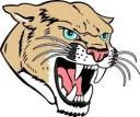 Belfield Cougars