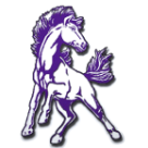 Belle Fourche Broncs