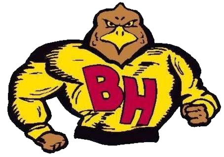 Blackville-Hilda Fighting Hawks