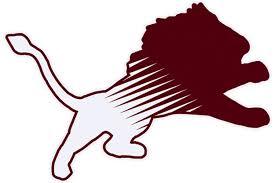 Brownwood Lions