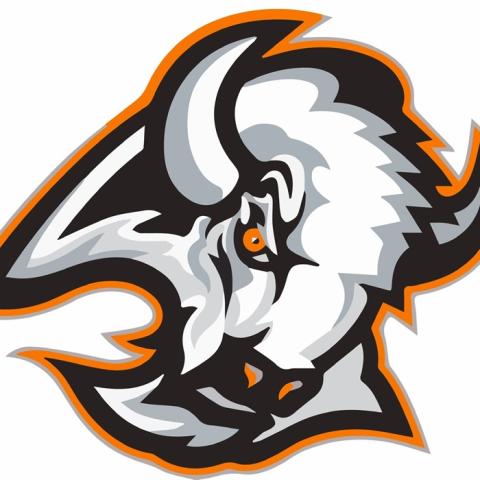 Buffalo Valley Buffaloes