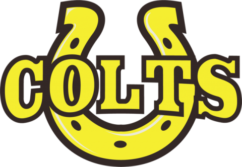 Cottonwood Colts