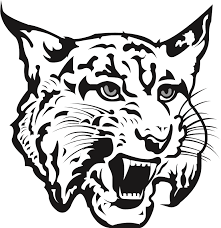 Charlotte Valley Wildcats