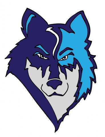 Cattaraugus-Little Valley Timberwolves