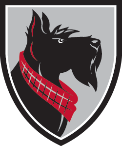 Carnegie Mellon University Tartans