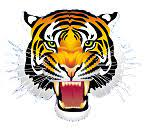 Crystal Springs Tigers