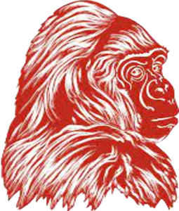Davenport Gorillas