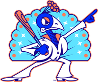 Carolina Disco Turkeys