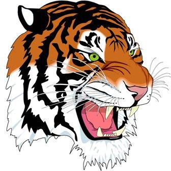 Elida Tigers