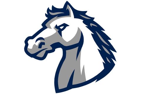 Forsyth Country Day Furies