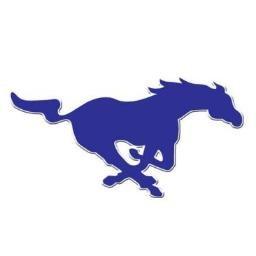 Friendswood Mustangs