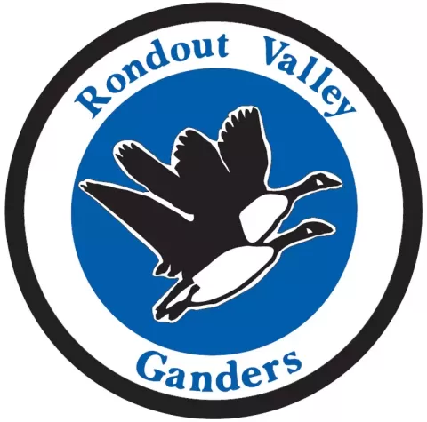 Rondout Valley Ganders