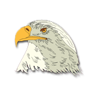 Glendo Eagles