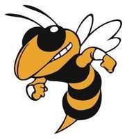 Greenville Hornets