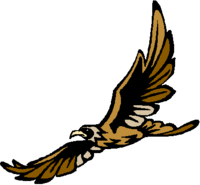 Holly Springs Hawks