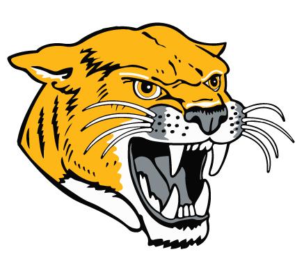 Illini Central Cougars