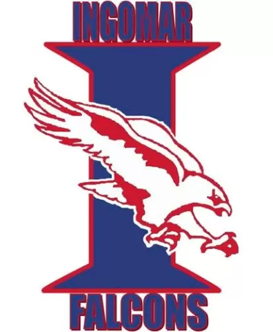 Ingomar Falcons