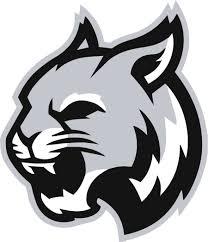 Jasper-Troupsburg Wildcats